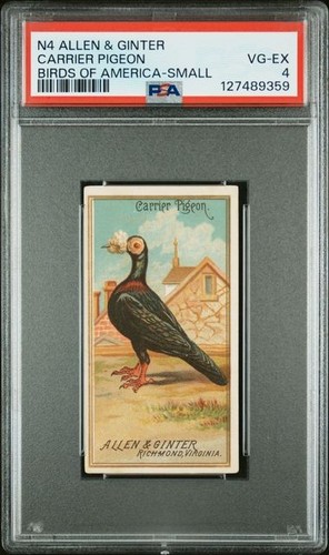 Carrier pigeon 1888 - carrier, &