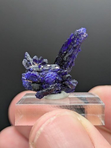 Azurite crystal specimen