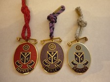 THREE (3) ROWING CLUB SPORTS ENAMEL BADGES PHYLLIS COURT HENLEY ROYAL REGATTA
