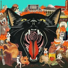 Fantastic Cat - Cat Out of