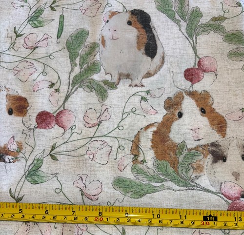 Fabric guinea pigs - guinea,