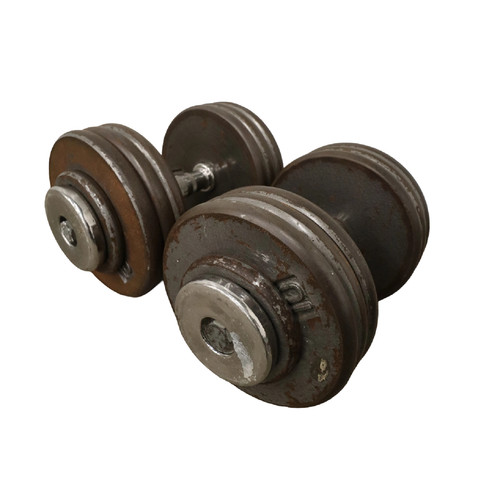 Freeweights pro style - freeweights,