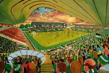 Home Park Stadium Fine Art