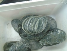 cornish serpentine rough