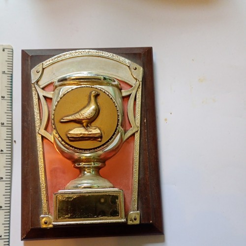 Pigeon racing trophy no - ,