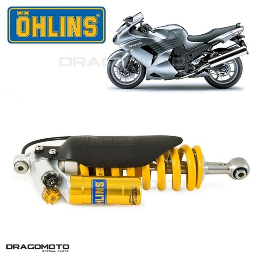 Kawasaki 14r 2020 - zx-14r, rear