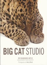 Big Cat Studio By Dr Bhagavan