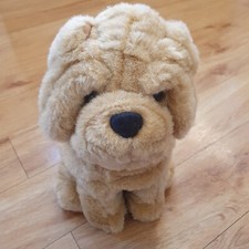 DS Nicholass Wrinkly Shar Pei