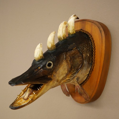 Fischwolpi wolpertinger - fischwolpi,