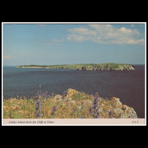 Caldey island from giltar - island,