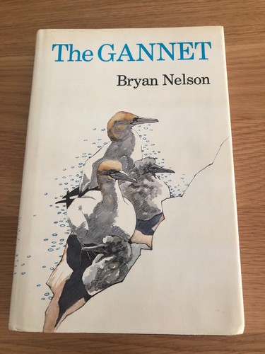 The gannet bryan nelson - the,
