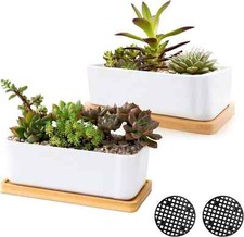 ARVINKEY White Ceramic Succulent Planters Plant Pots NO PLANTS 2 x Cactus Pots