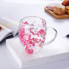 Double Walled Glass Cup Dried