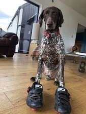 Sidi Road Cycling Shoes 41