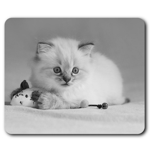 Rectangle mouse mat - mouse,