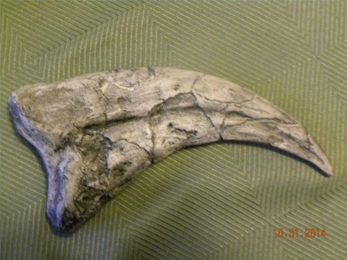 Deinonychus jurassic - ,