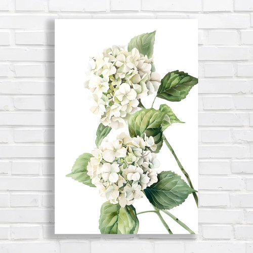 Serene hydrangea botanical - serene,
