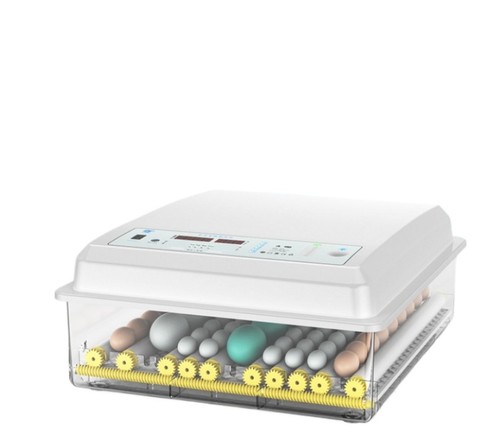 Incubator small home use - incubator:, small,
