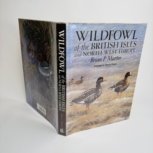 Wildfowl british isles - british,