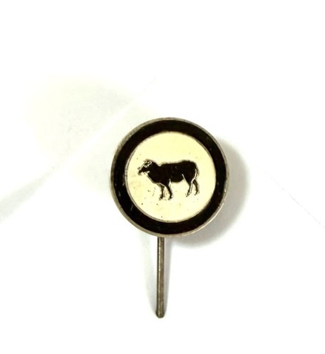 Vintage zaanstreek enamel - fc,