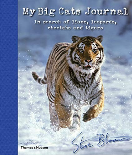 Big cats journal - my, in
