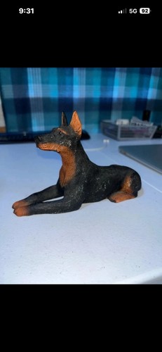 Castagna doberman pinscher - doberman,