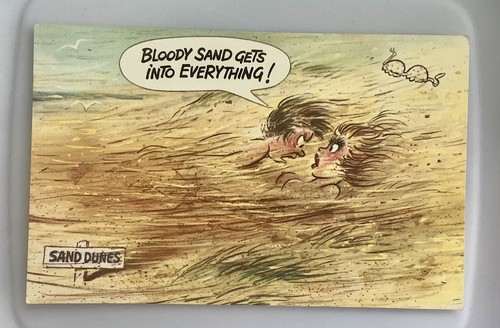 Vintage saucy seaside - saucy, comic