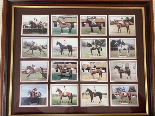 Horse racing cards - horse, g.d.s.