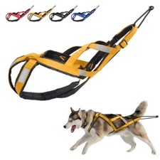 Weight Pulling Sledding Dog