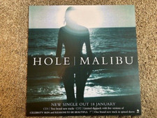Hole - Record Shop display 12