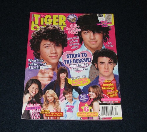 Tiger beat magazine december - tiger,