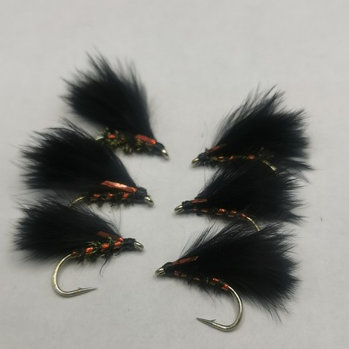 Black and red holo - holo, cormorant