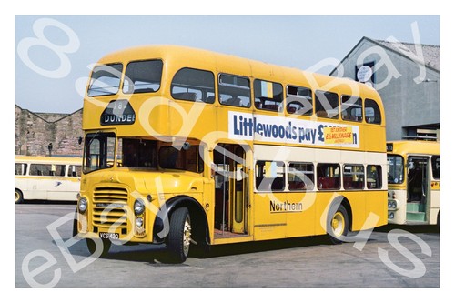 Bus photograph alexander - bus,