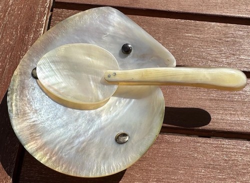 Mother pearl shell - shell, caviar