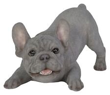Vivid Arts Blue French Bulldog