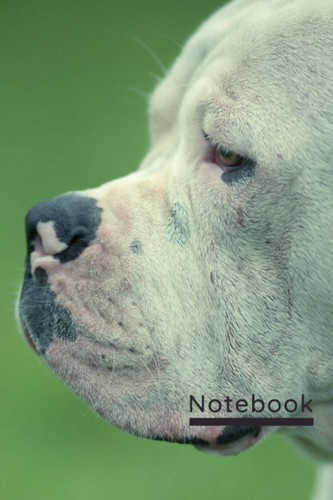 American bulldog notebook - bulldog,