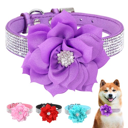 Bling dog collar - bling, with