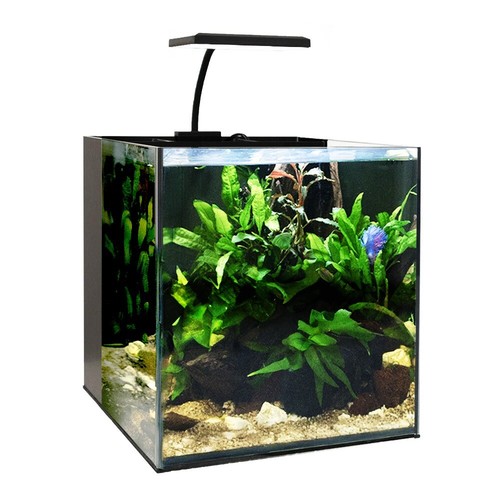Swell small aquarium 25cm - swell,