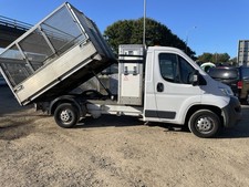 Fiat Ducato Single Cab Caged Tipper With Tool Box 2016 Low Mileage. Not Transit