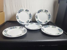 Midwinter Cottage Garden