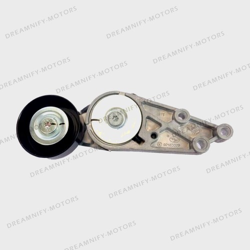 Automatic tensioner - automatic,