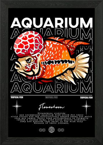 Flowerhorn monster fish - flowerhorn,