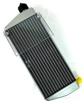 Rotax Max Evo Genuine Silver