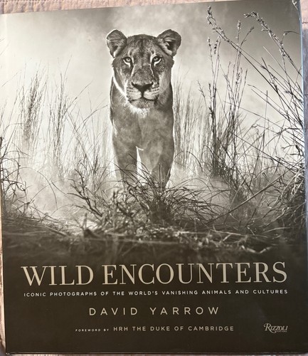 Wild encounters david - wild,