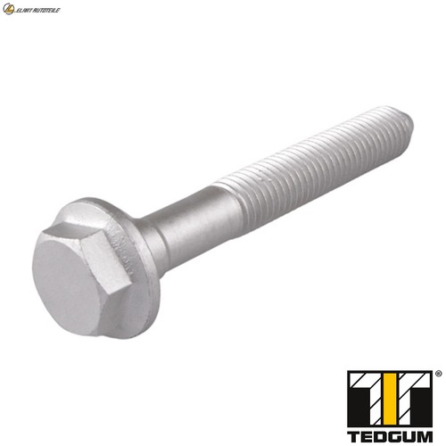 Bolt wishbone ted94611 - bolt, for