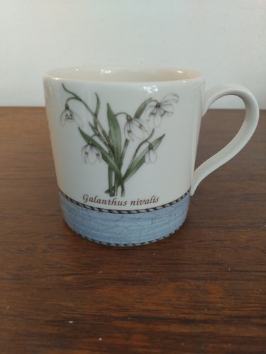 Wedgwood sarah garden - wedgwood, sarah's