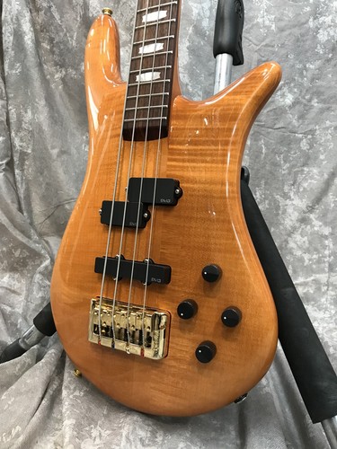 Spector euro4 amber stain - amber,