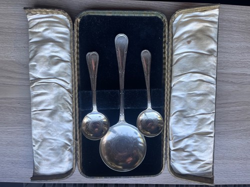 Silver plated desert spoon set - silver,