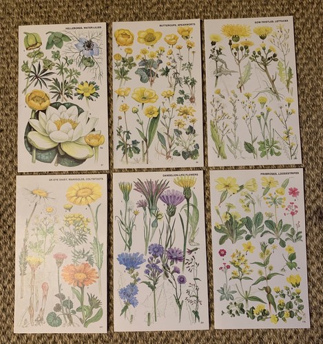 Vintage 1974 botanical book - 1974,