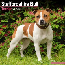 Staffordshire Bull Terrier 2026 Calendar | Dog Breed Gift 15% OFF MULTI ORDERS